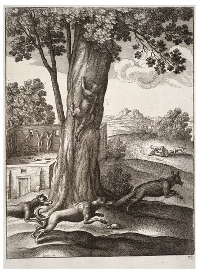 La volpe e il gatto da Wenceslaus Hollar